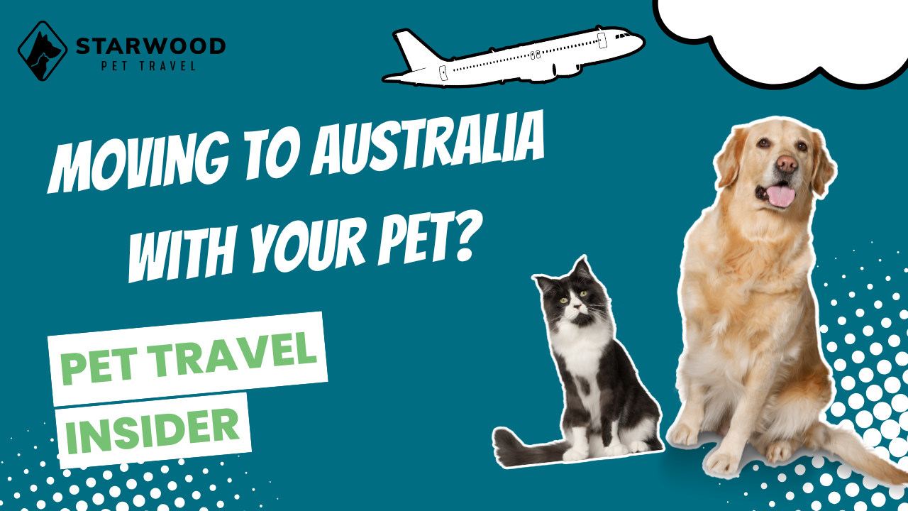 Moving to Australia with your pet? Pet Travel Insider Podcast