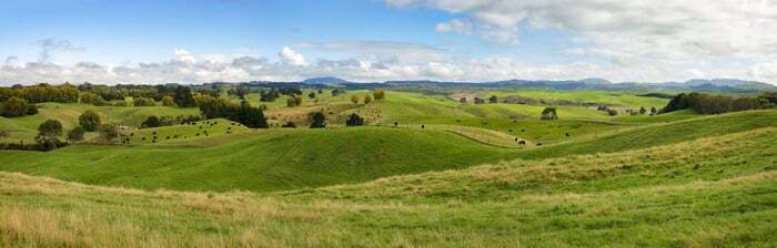 Photo of New Zealand