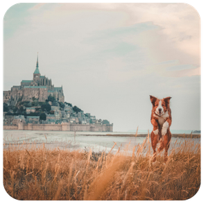 franceguide