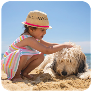 Child playing with dog on a beach in Portugal.