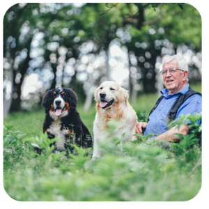 Elder man in a field in Switzerland with his two dogs.